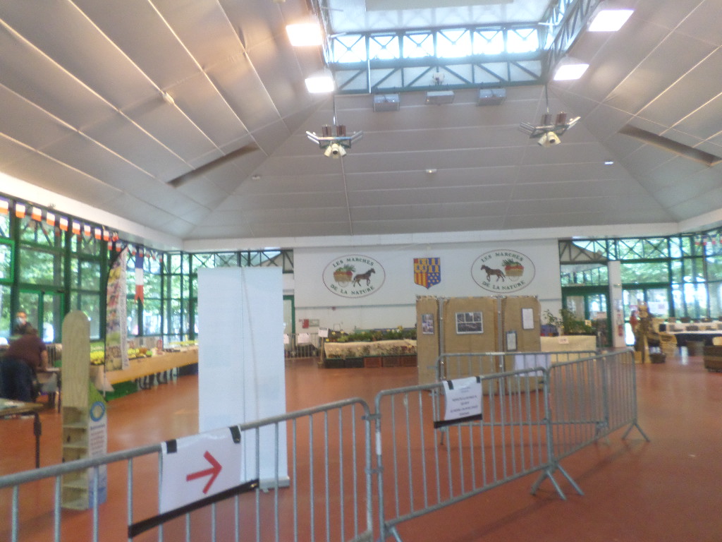 SAMSUNG CAMERA PICTURES