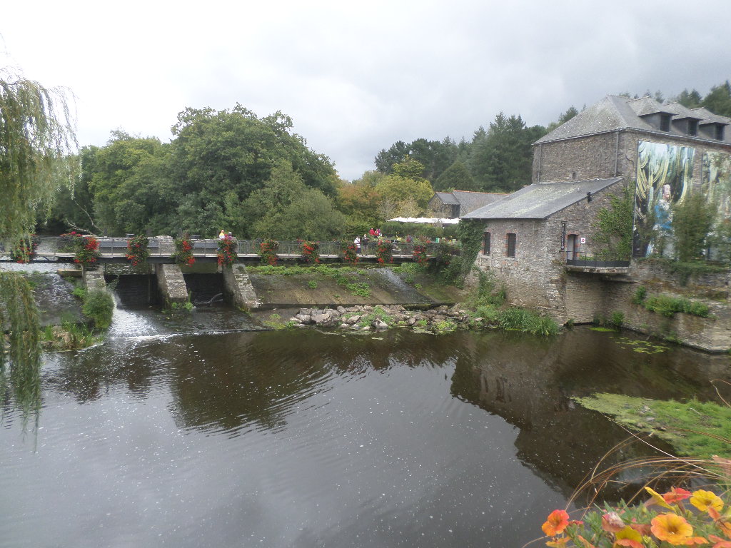 SAMSUNG CAMERA PICTURES