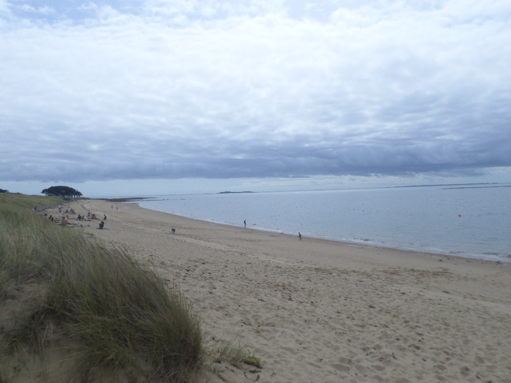 SAMSUNG CAMERA PICTURES