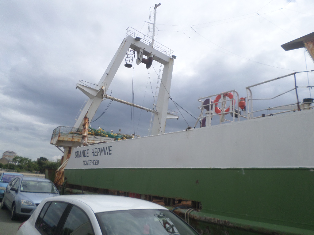 SAMSUNG CAMERA PICTURES