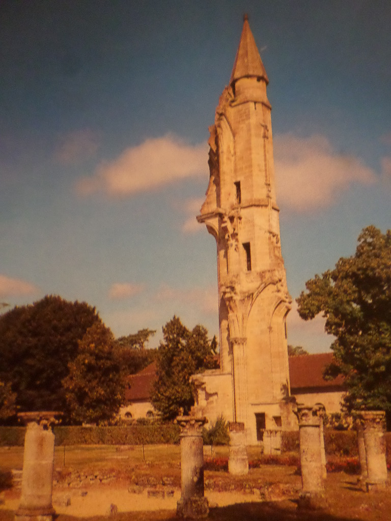 SAMSUNG CAMERA PICTURES