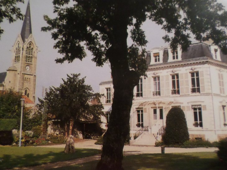 SAMSUNG CAMERA PICTURES