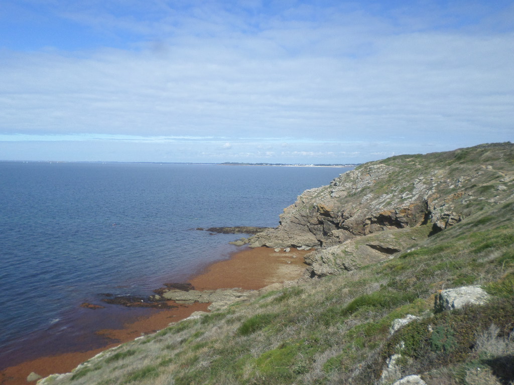 SAMSUNG CAMERA PICTURES