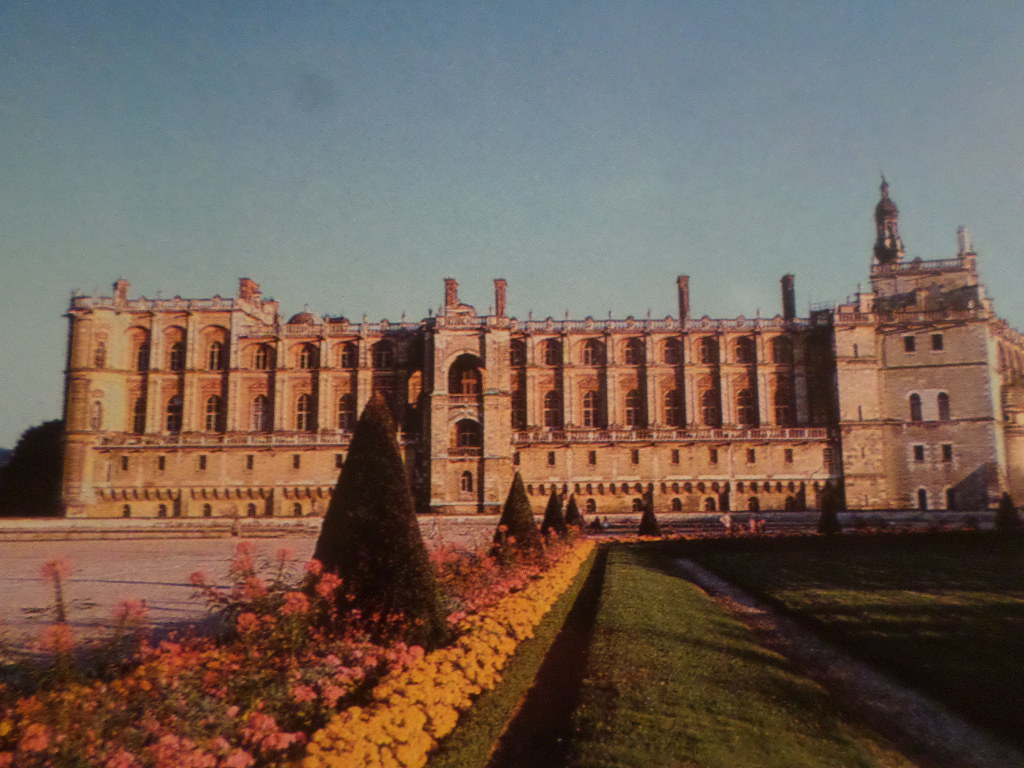 SAMSUNG CAMERA PICTURES