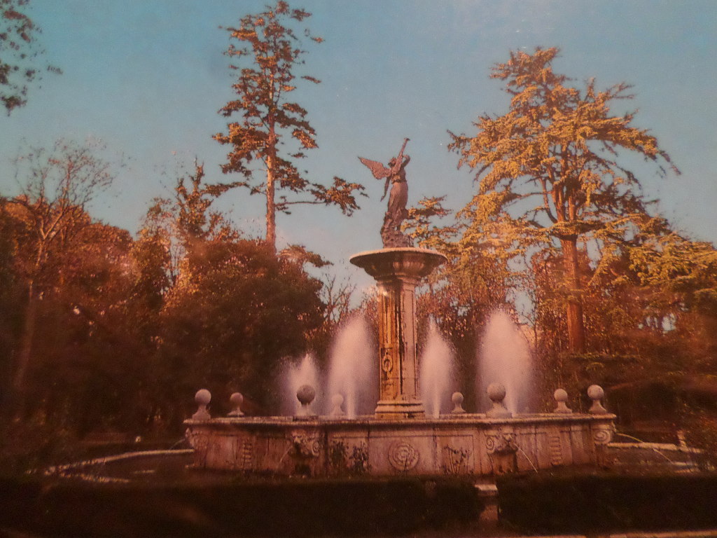 SAMSUNG CAMERA PICTURES