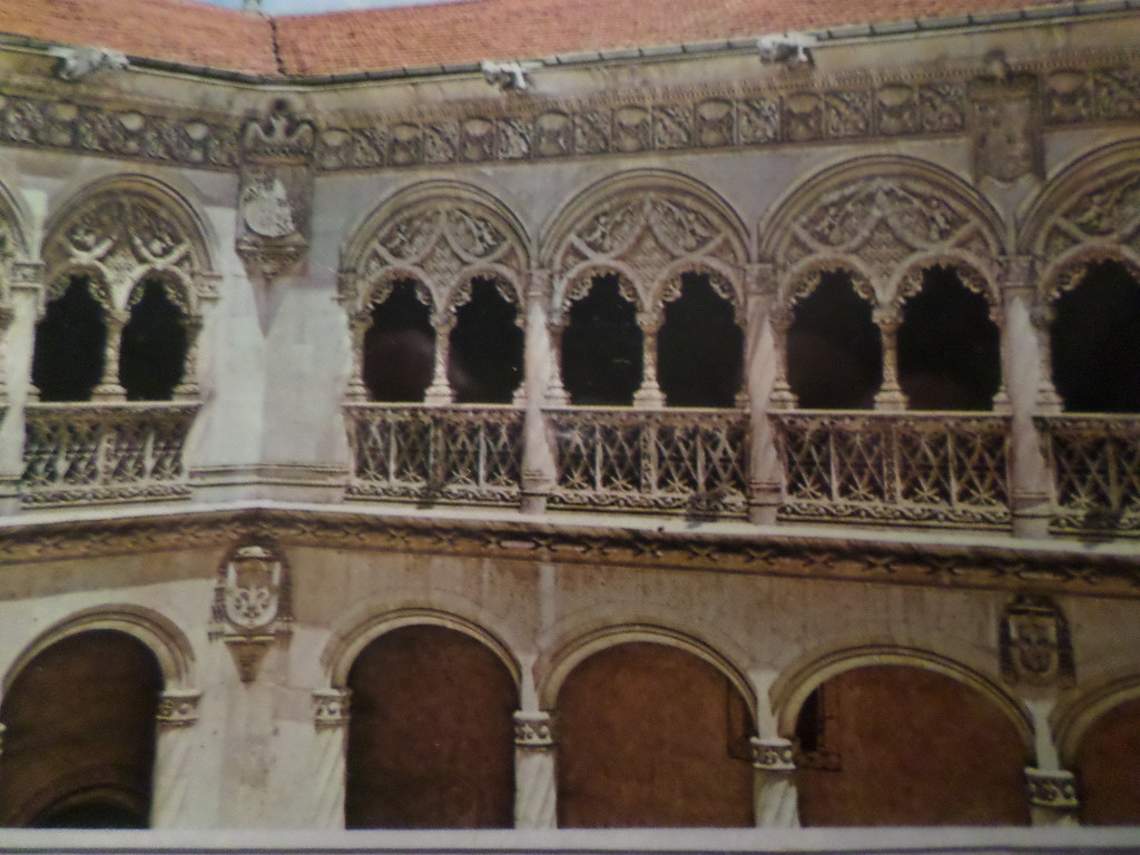 SAMSUNG CAMERA PICTURES