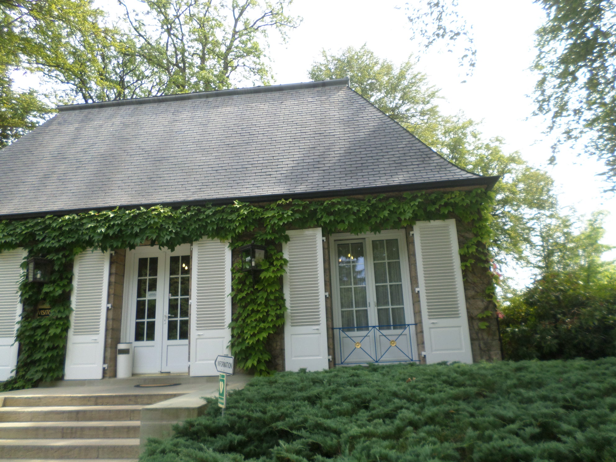 SAMSUNG CAMERA PICTURES