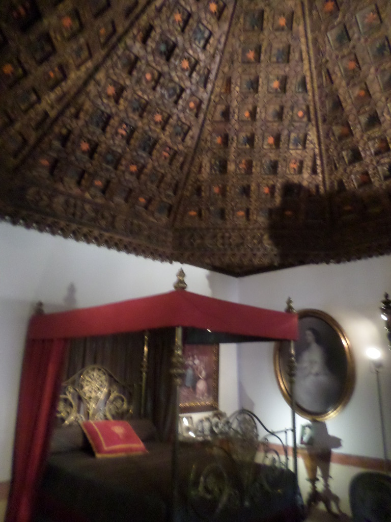 SAMSUNG CAMERA PICTURES