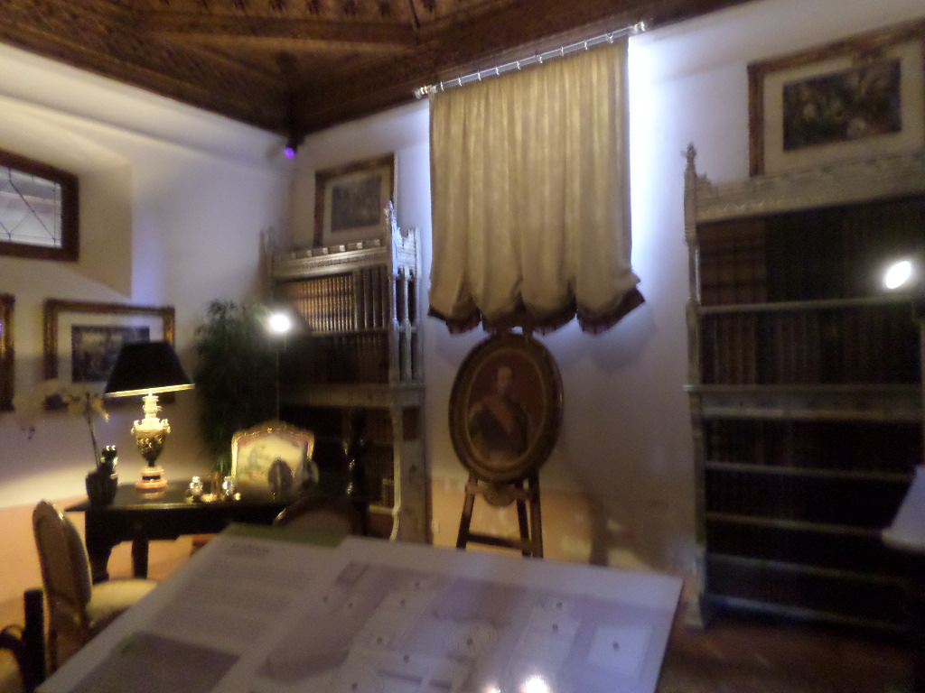 SAMSUNG CAMERA PICTURES