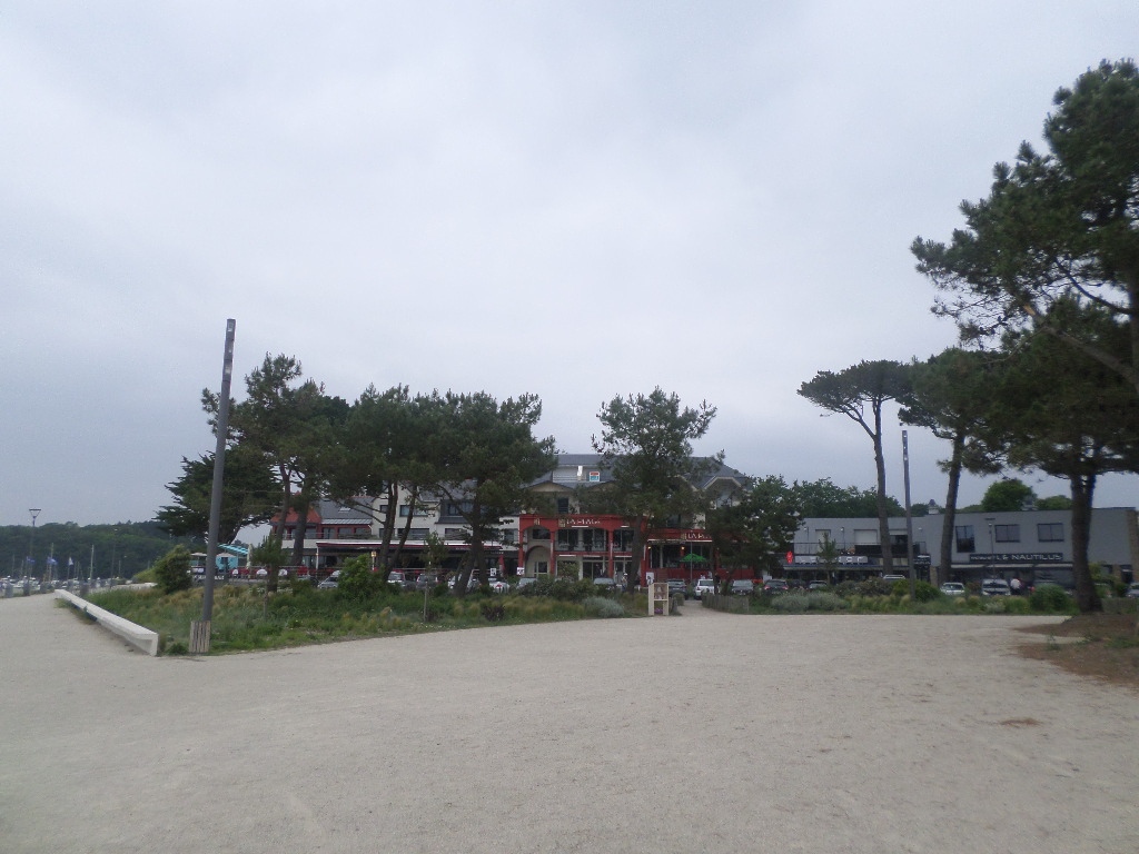 SAMSUNG CAMERA PICTURES