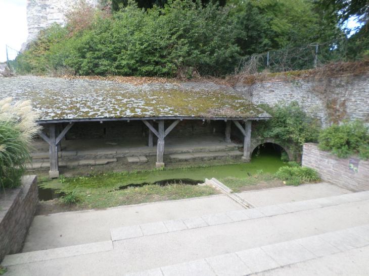 SAMSUNG CAMERA PICTURES