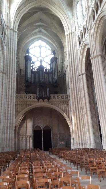 meaux-cat-st-etienne-organ-back-dec18