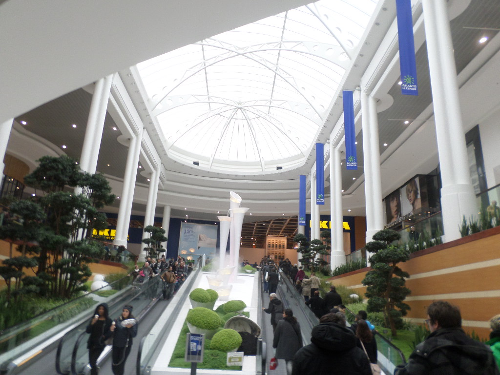 SAMSUNG CAMERA PICTURES