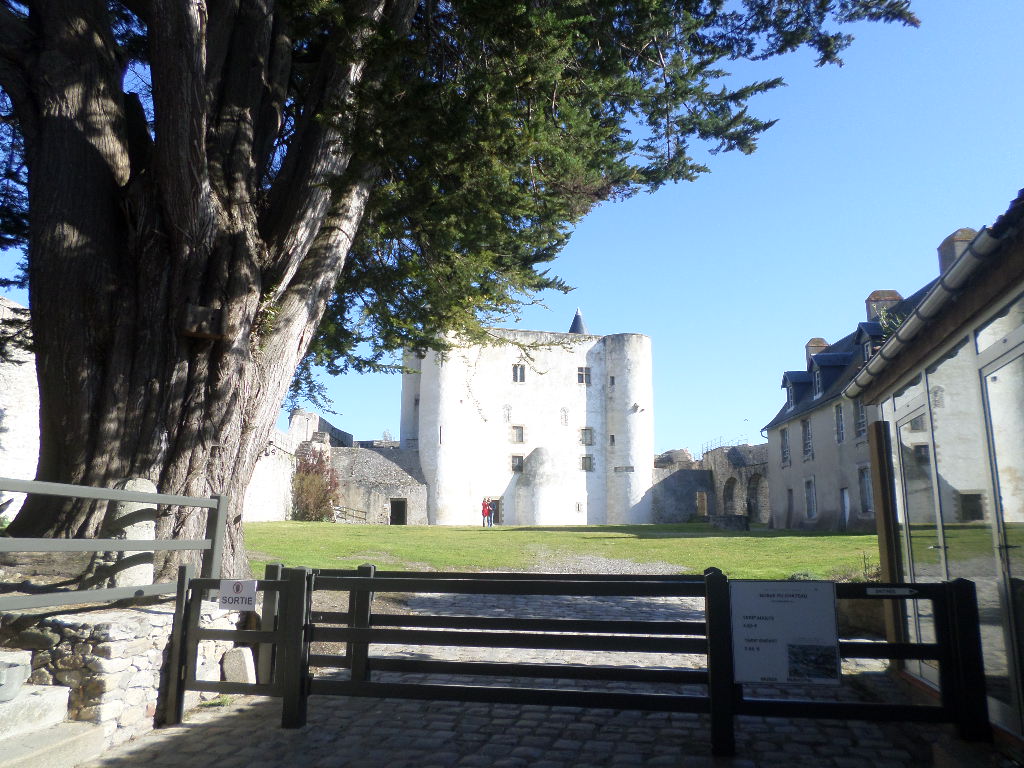 SAMSUNG CAMERA PICTURES