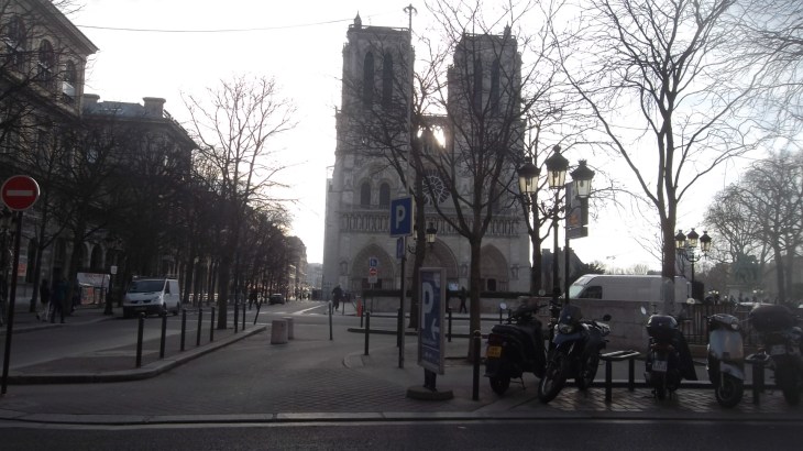 paris cat notre dame front feb14