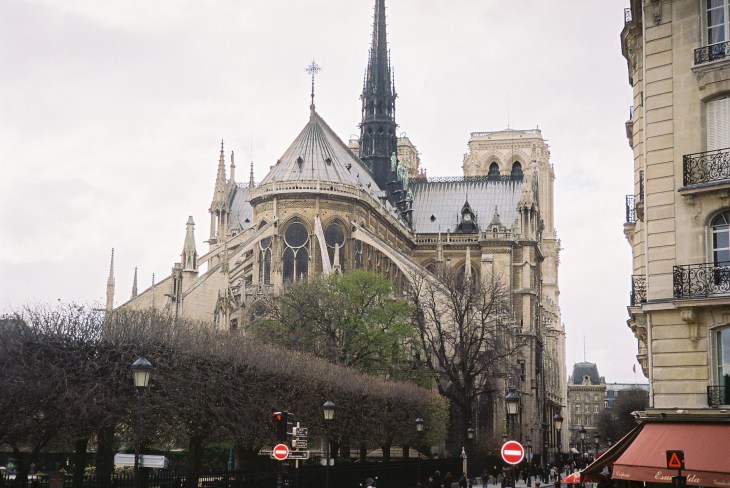 Paris Cat Notre Dame rue du cloitre back 2009