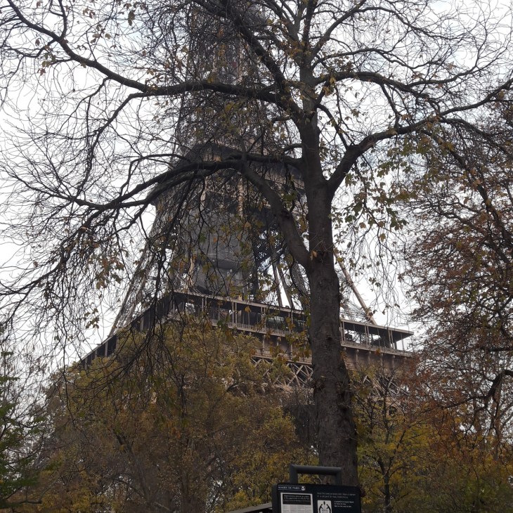 paris tour eiffel from garden quai-branly nov17