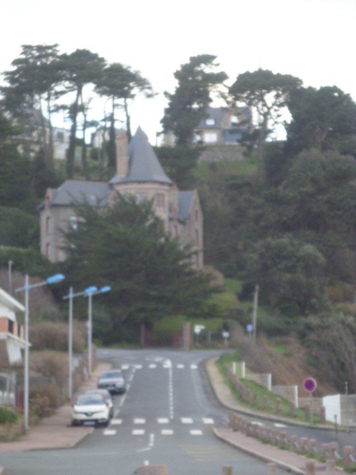 SAMSUNG CAMERA PICTURES