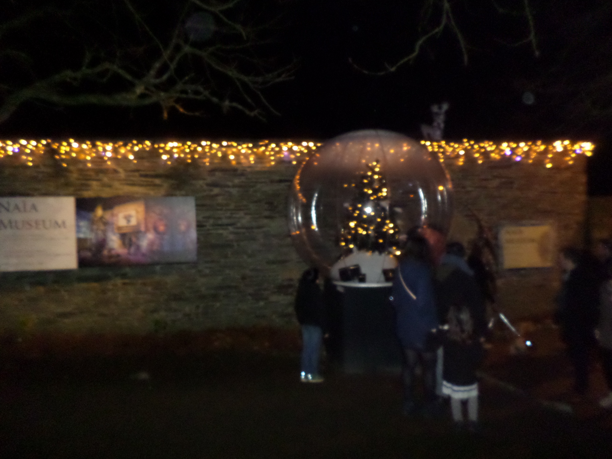 SAMSUNG CAMERA PICTURES