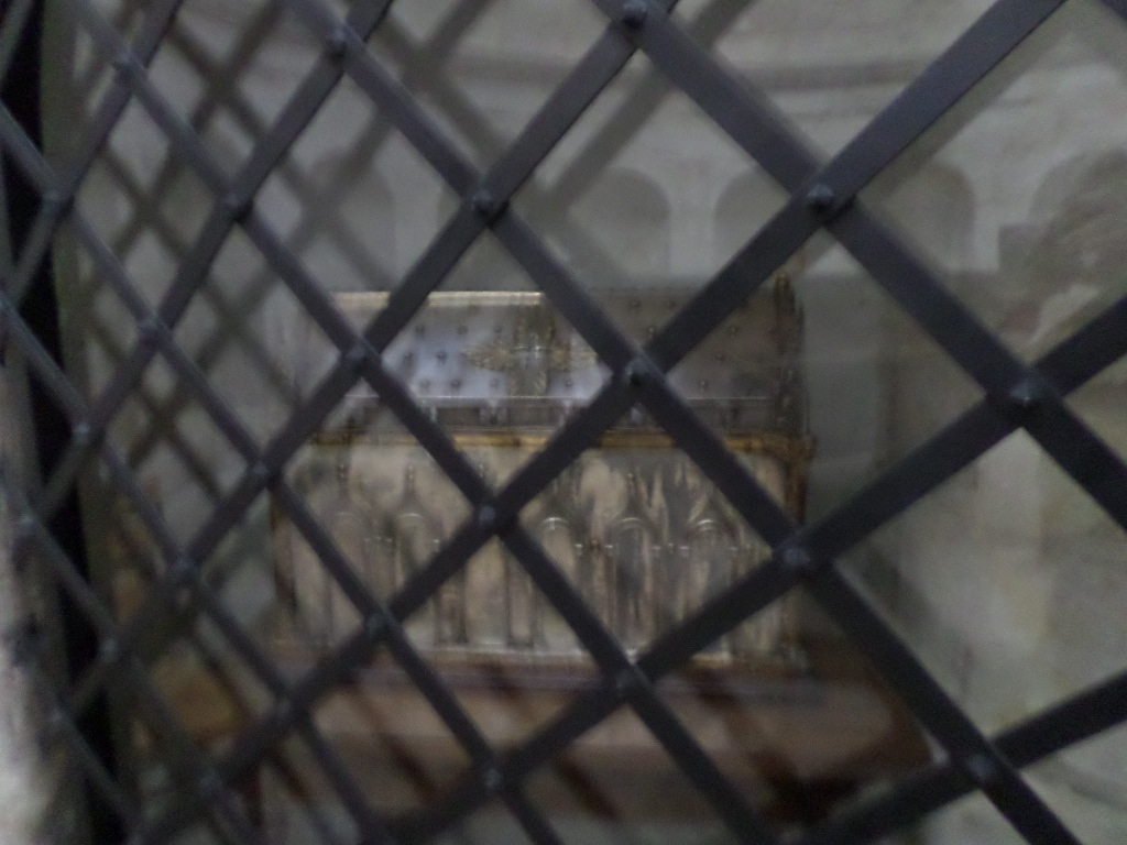 SAMSUNG CAMERA PICTURES