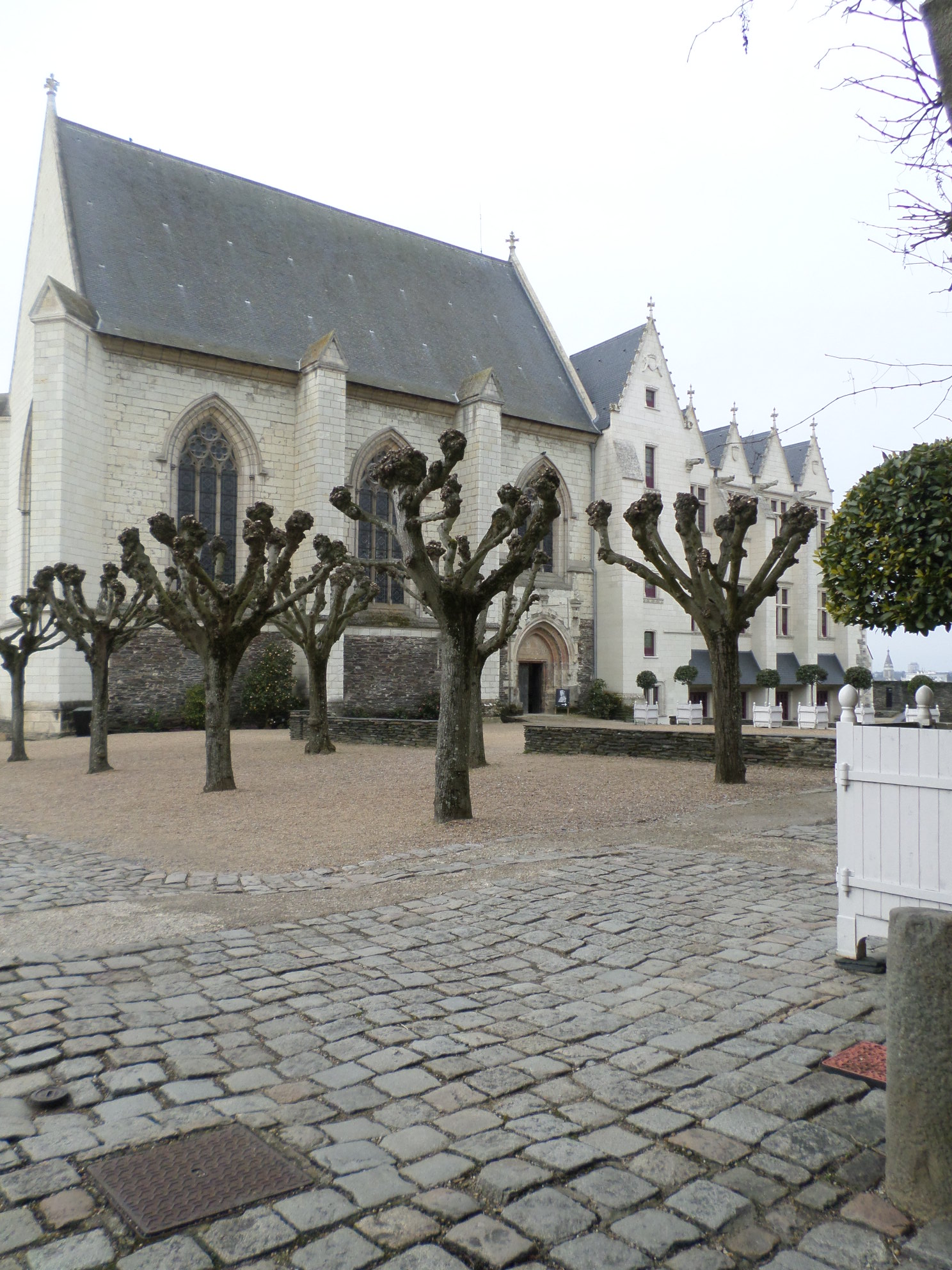 SAMSUNG CAMERA PICTURES