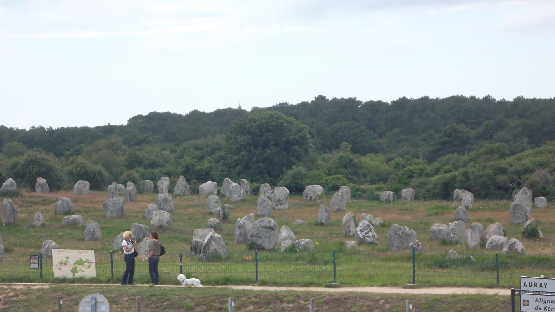Carnac maison des Mega menec from roof jul12