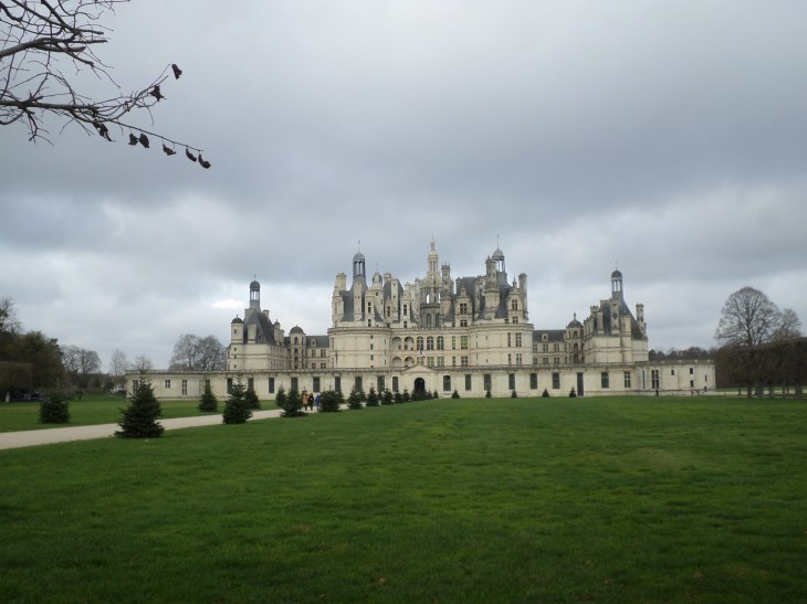 SAMSUNG CAMERA PICTURES