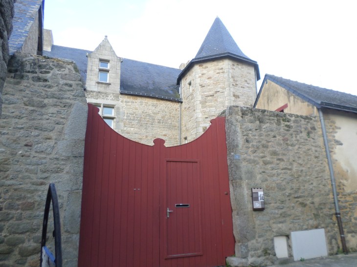 SAMSUNG CAMERA PICTURES