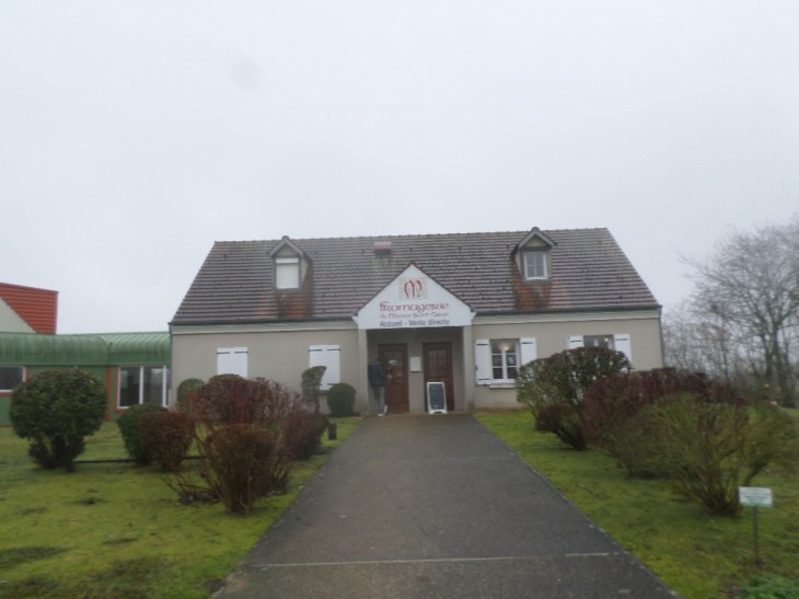 SAMSUNG CAMERA PICTURES