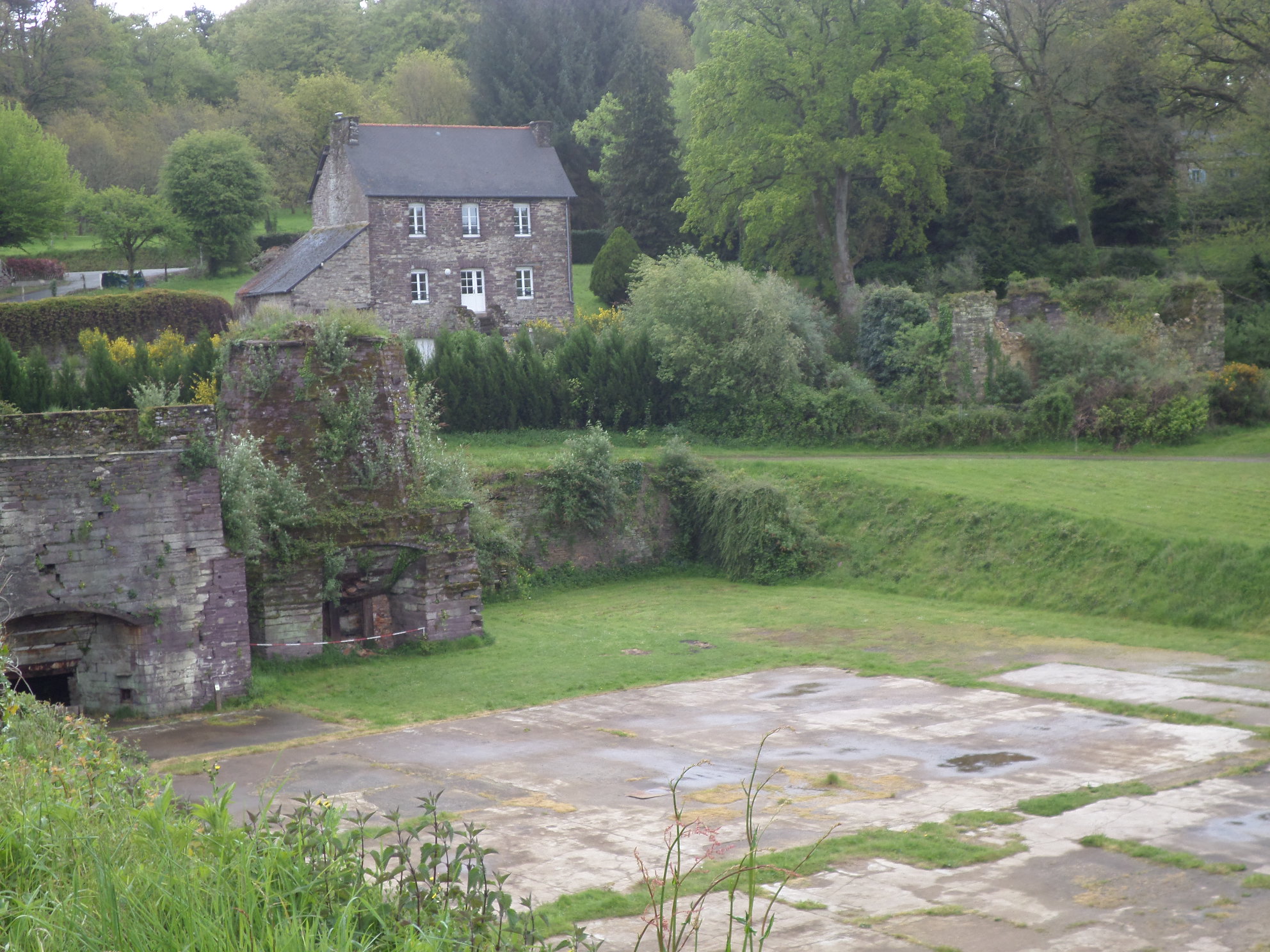 SAMSUNG CAMERA PICTURES