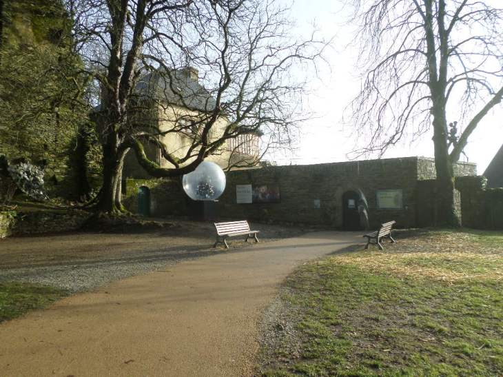 SAMSUNG CAMERA PICTURES