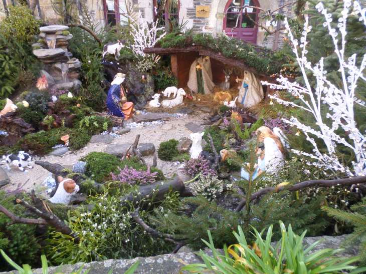 SAMSUNG CAMERA PICTURES