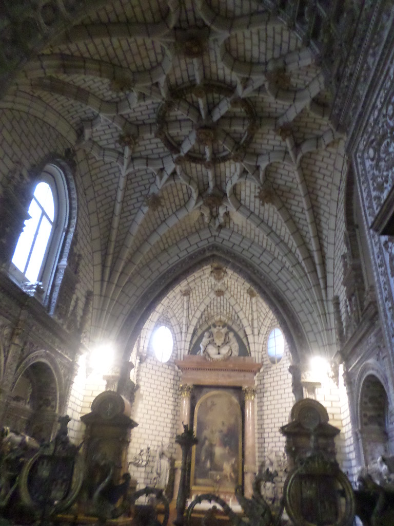 SAMSUNG CAMERA PICTURES