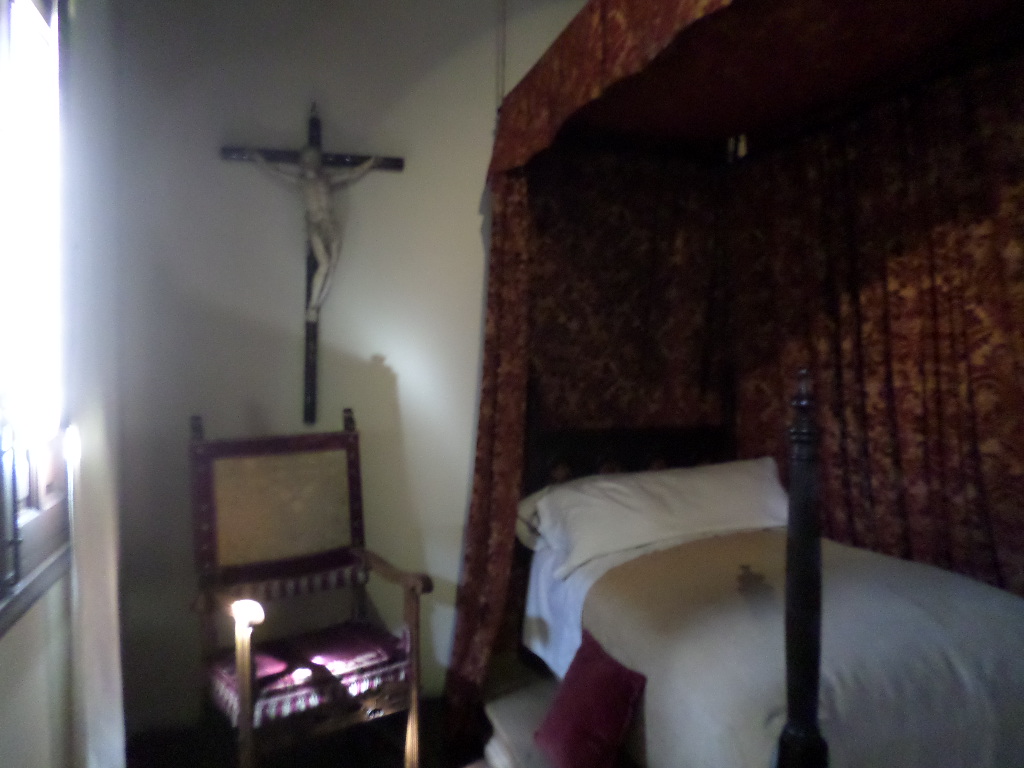 SAMSUNG CAMERA PICTURES