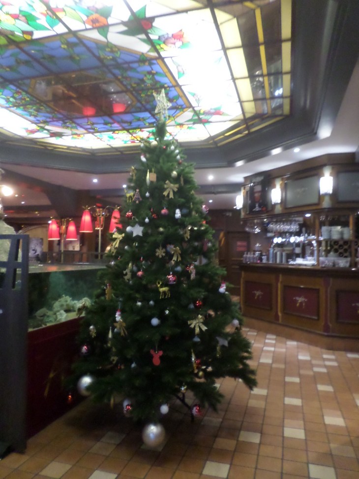 SAMSUNG CAMERA PICTURES