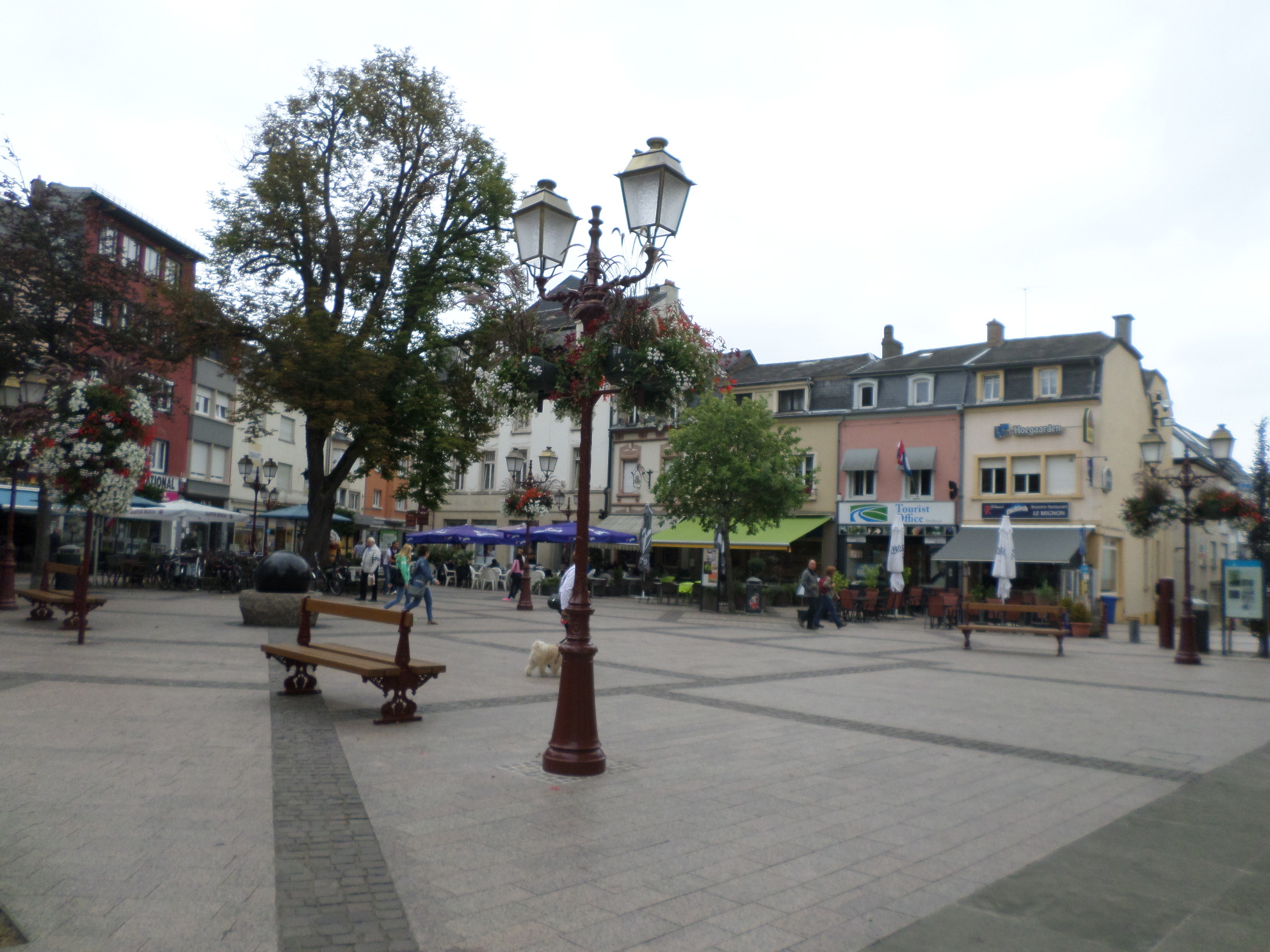 SAMSUNG CAMERA PICTURES