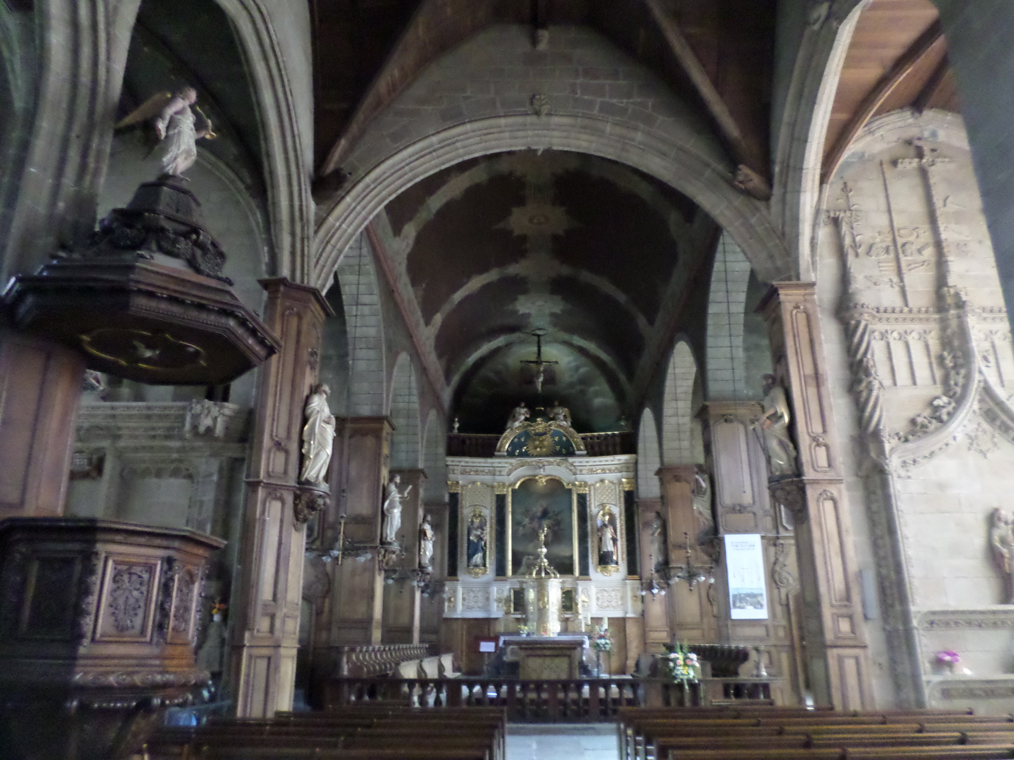 SAMSUNG CAMERA PICTURES