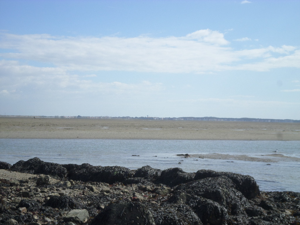 SAMSUNG CAMERA PICTURES