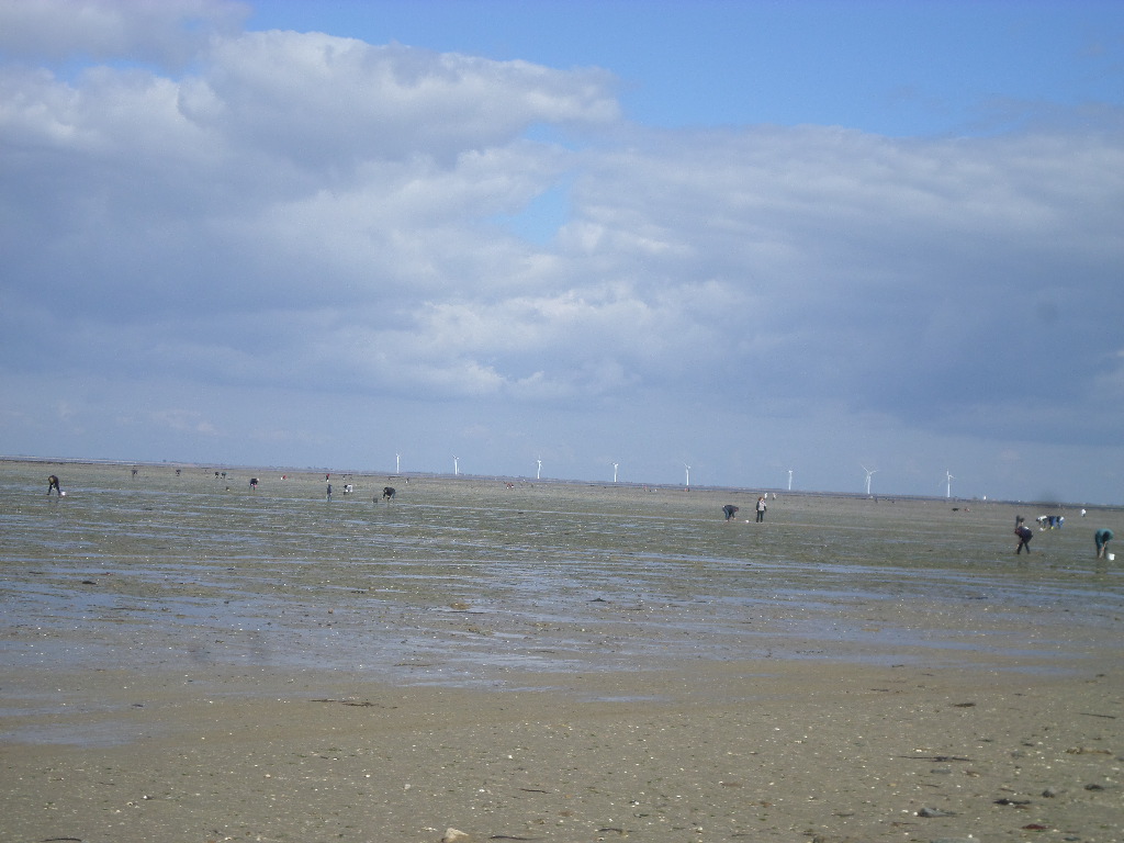 SAMSUNG CAMERA PICTURES