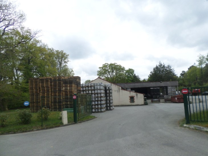 SAMSUNG CAMERA PICTURES