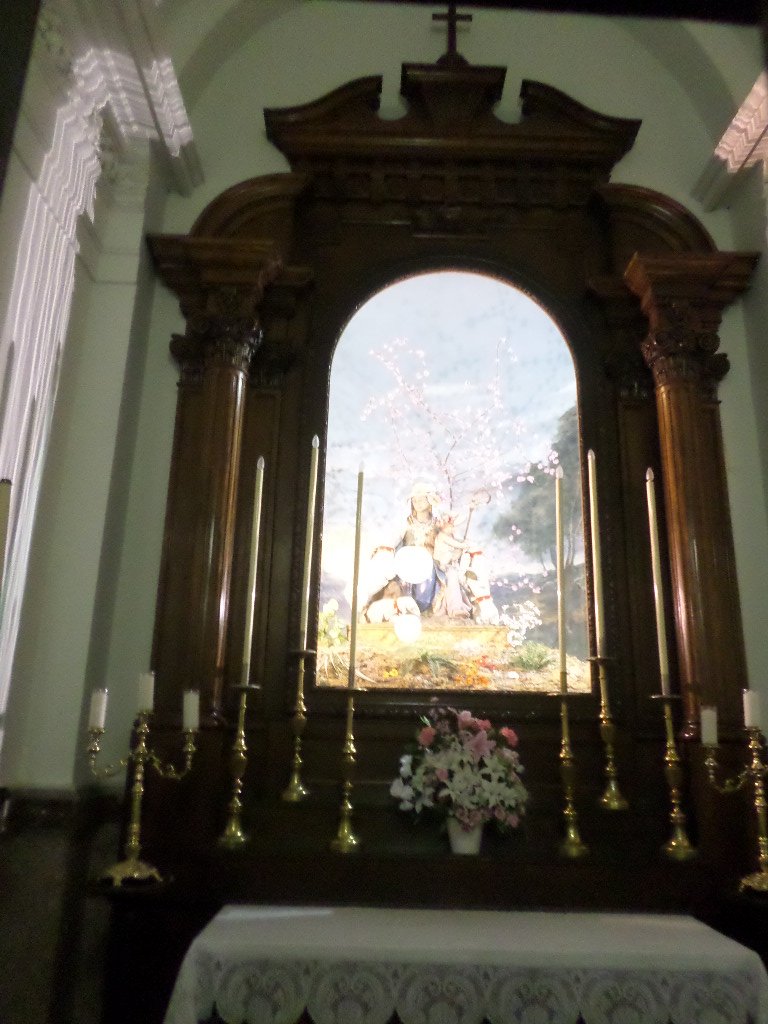 SAMSUNG CAMERA PICTURES