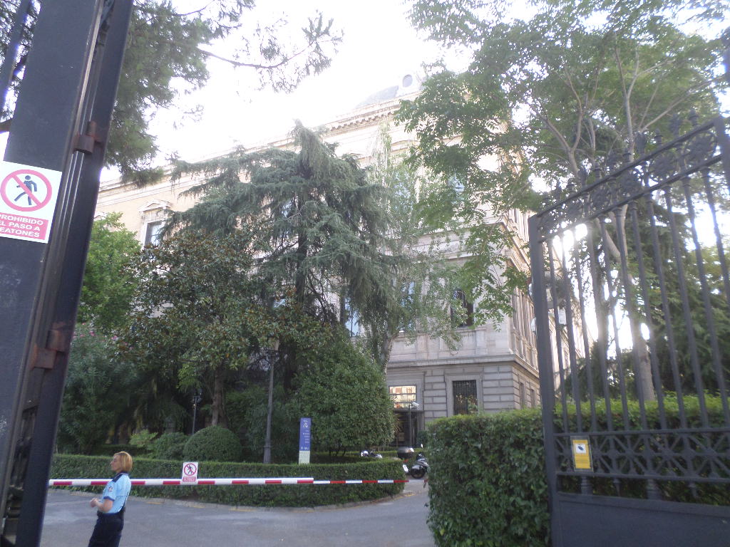 SAMSUNG CAMERA PICTURES