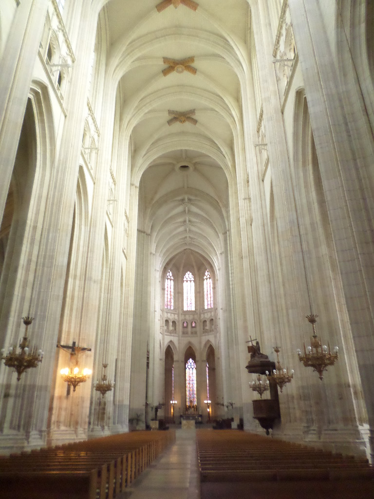 SAMSUNG CAMERA PICTURES