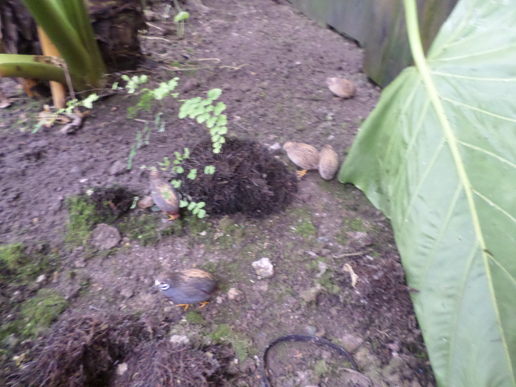 SAMSUNG CAMERA PICTURES