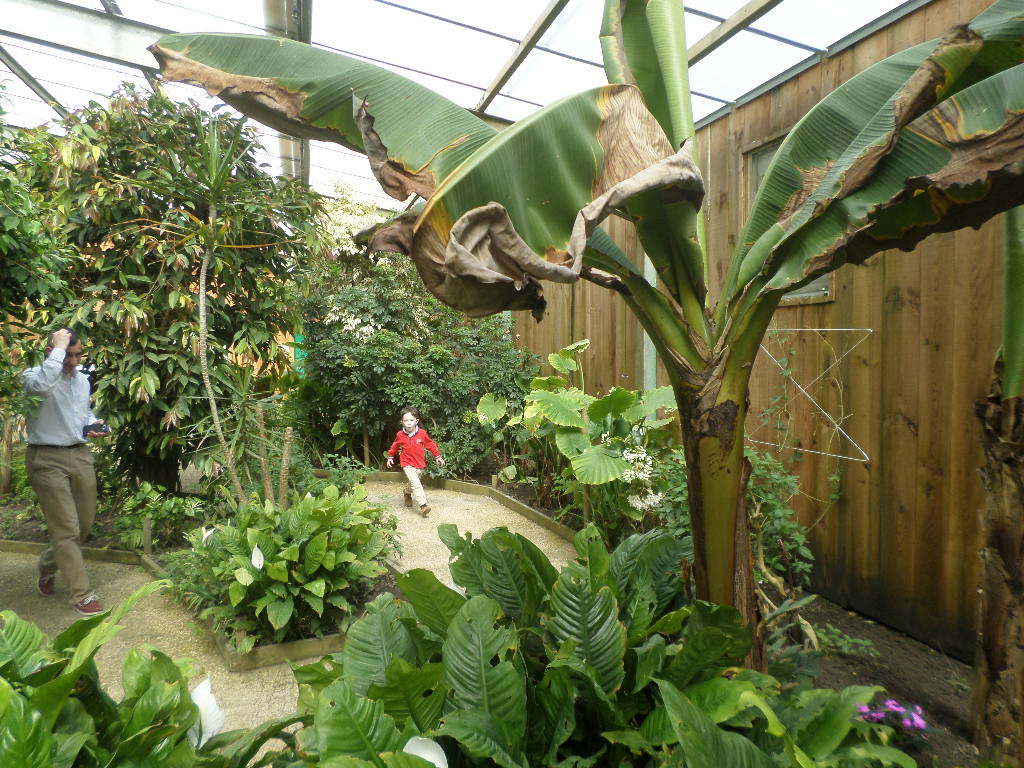 SAMSUNG CAMERA PICTURES