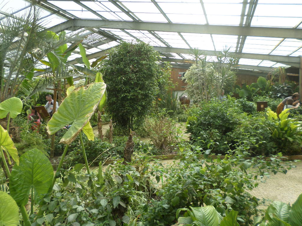 SAMSUNG CAMERA PICTURES