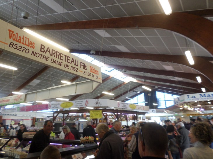 SAMSUNG CAMERA PICTURES