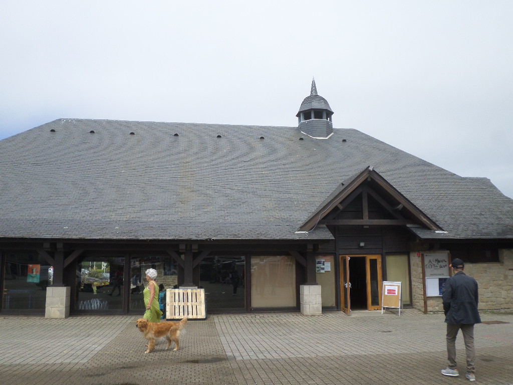 SAMSUNG CAMERA PICTURES