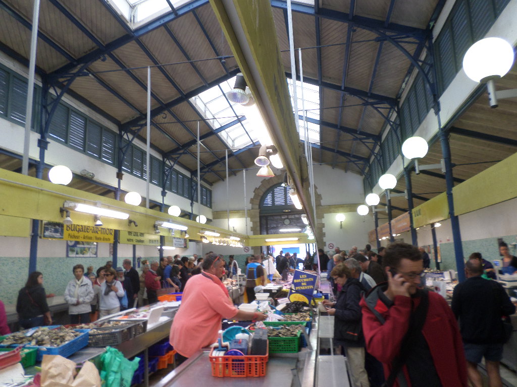 SAMSUNG CAMERA PICTURES