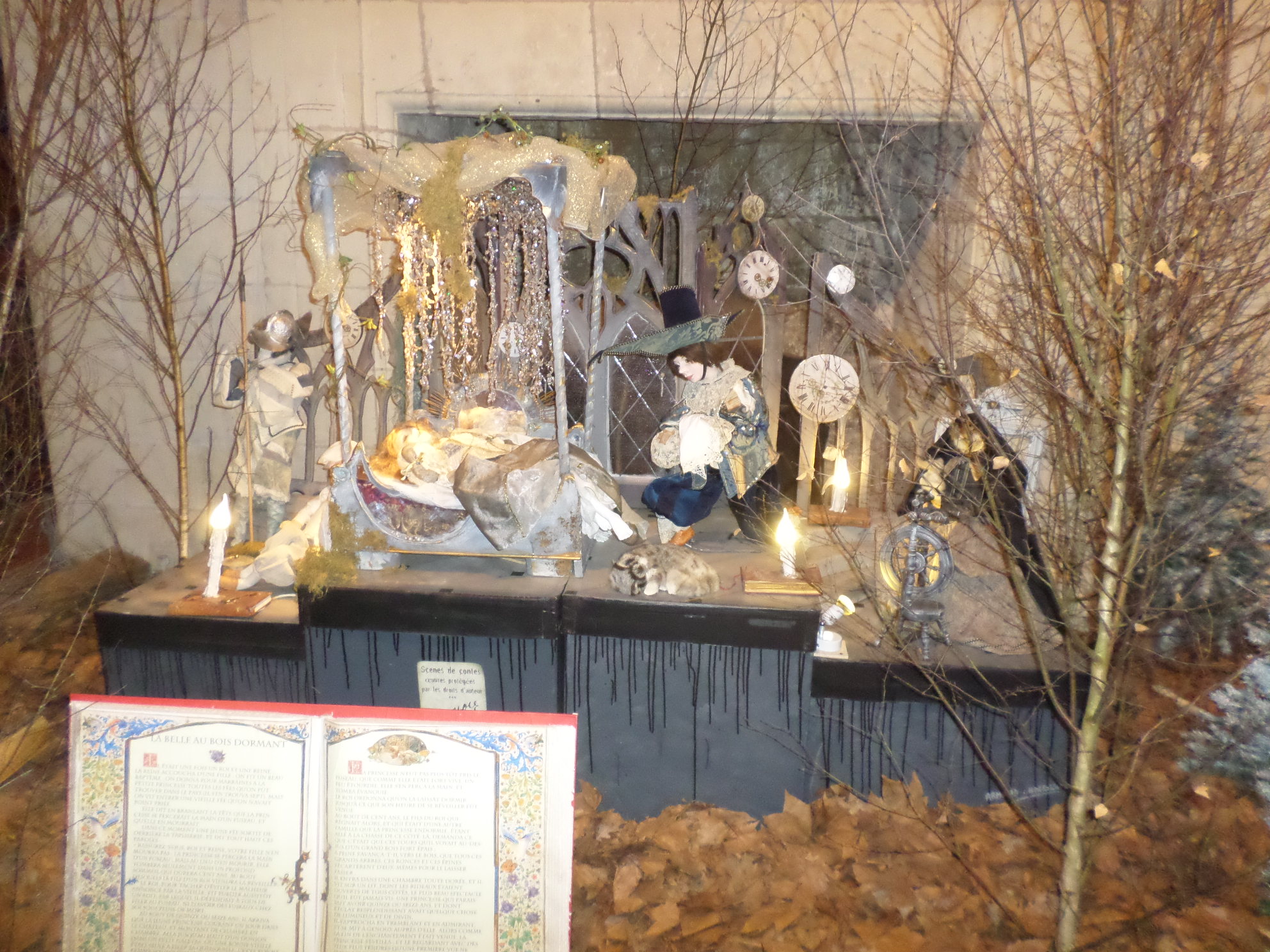 SAMSUNG CAMERA PICTURES